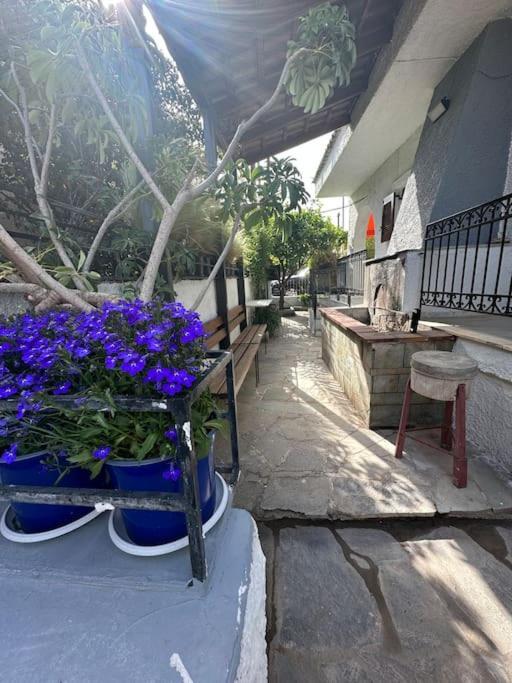Caja De Anthea Villa Artemida  Exterior photo